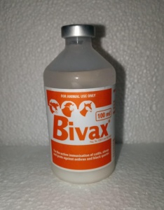 bivax