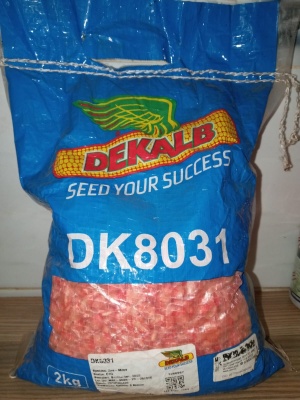 dekalb_dk8031