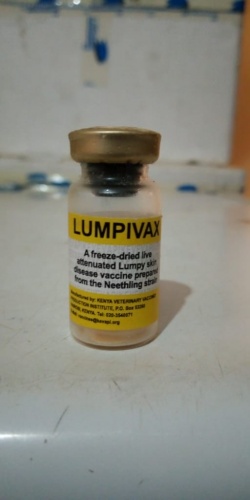 LUMPY