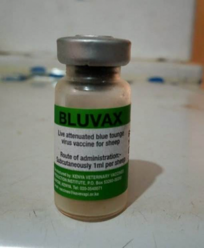 BLUE VAX