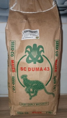 SC_DUMA_43