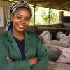 Davetis Kenya Home Page