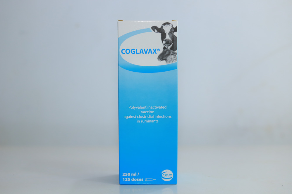 COGLAVAX 250ML – Bayraq